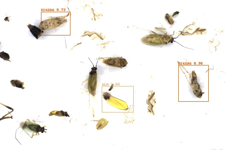 Image 37